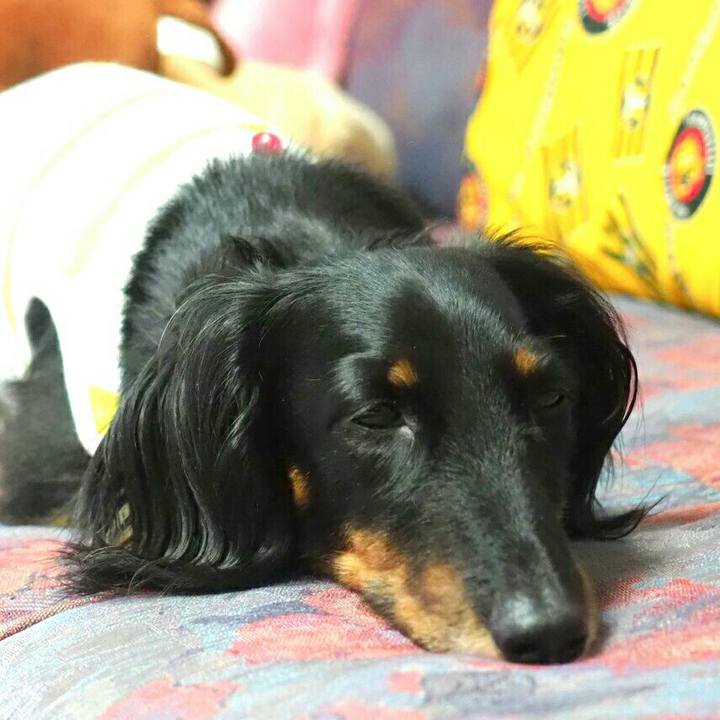 1a0ceade 771b 4651 a0d5 38c4d4a4d98e 1598254758150