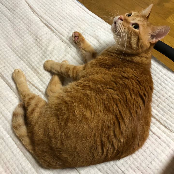 1a0d4267 31b4 4793 b79e 918aee218cc0 1592311016693