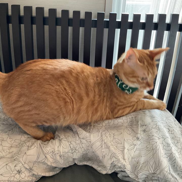 1a0d4a2c d43c 4a7c 8673 3af741751afd 1630649110241