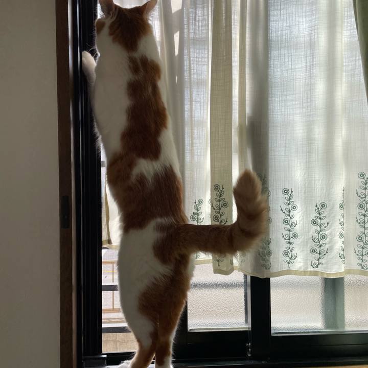 1a0dc509 7e8f 430a 80b5 9051748dfd2a 1648366544792