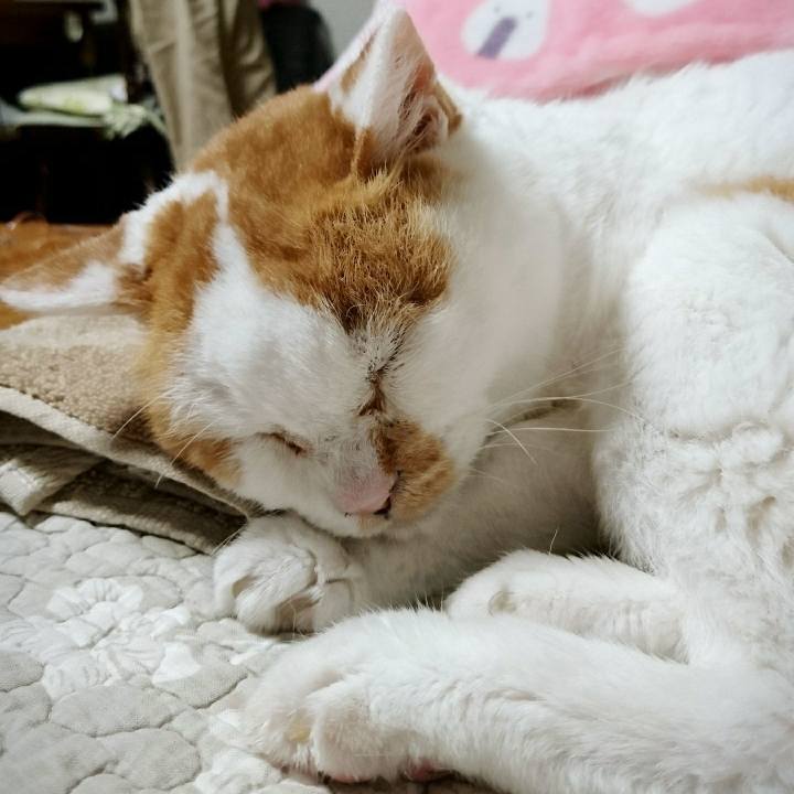 1a0dd466 a80f 4d25 8aca f6e7cb1c7707 1566383582569