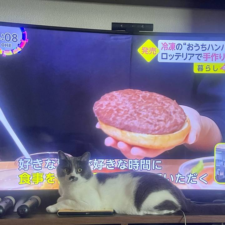 1a0de7a1 b2eb 45f6 a1c7 02b741851061 1652857861832