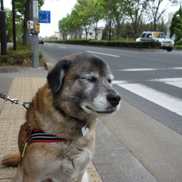 1a0dea3d 0f87 4a08 960e 35cd42840bc1 1634430892602