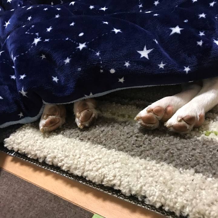 1a0e459d e99a 4311 ba40 5c83fc9410cb 1545494615318