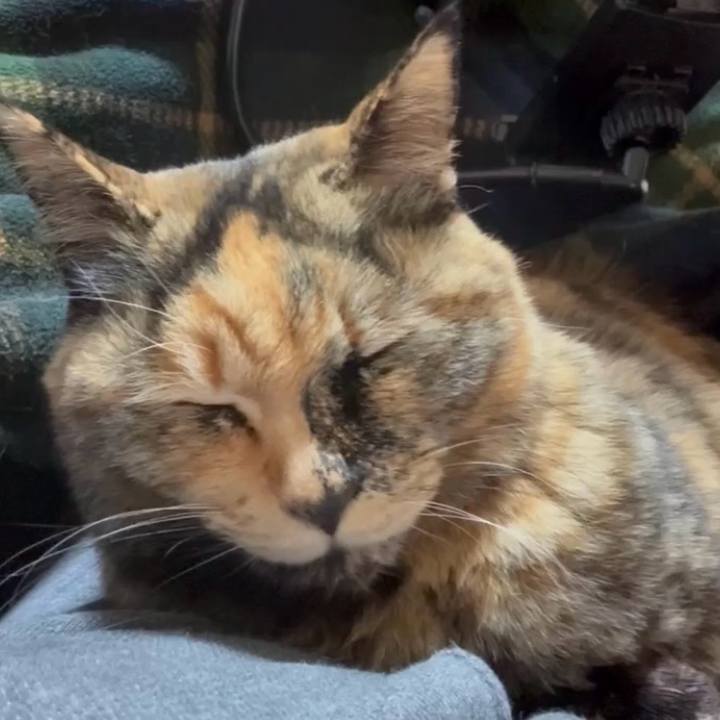 1a0e8ef5 ae40 4513 b84e 54a56ac64d0c 1770606379035