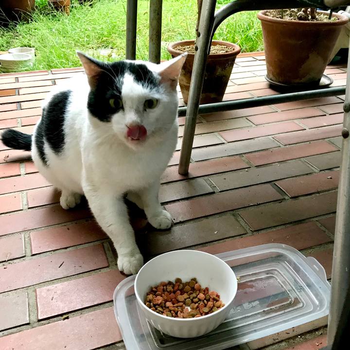 1a0eaaaa 29be 4fa4 9ab6 3deaa0fb9e7e 1538528782957