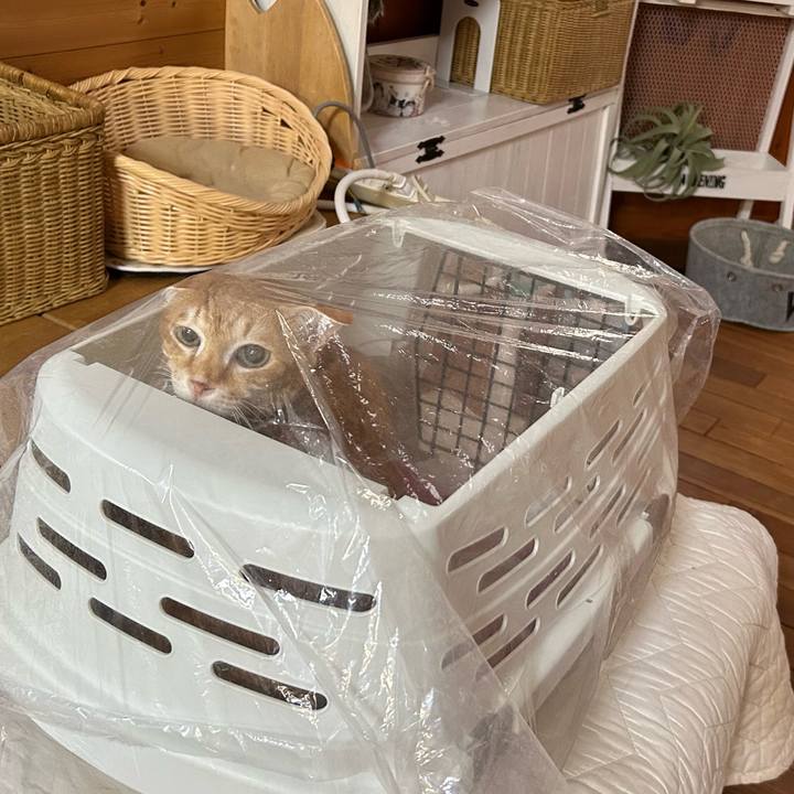 1a0eb37b 9581 41d5 a68c c843689c3a5b 1677363486840