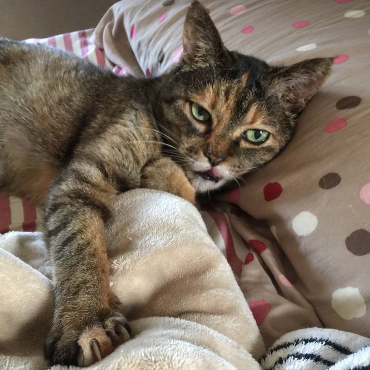 1a0ee2eb c11d 4770 9aa9 25c821ee34cb 1565478590868