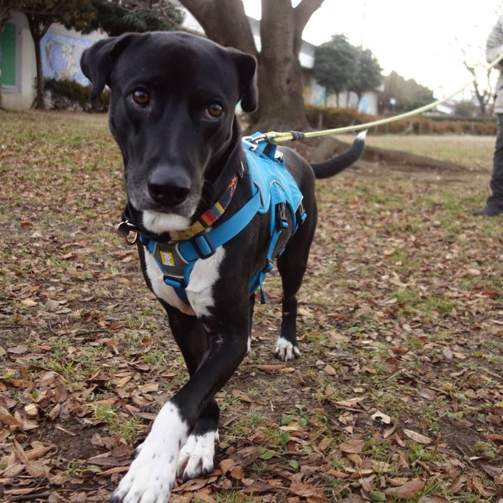 1a0f3884 c8be 443d 8e7e 94fa435abfaf 1609028716478