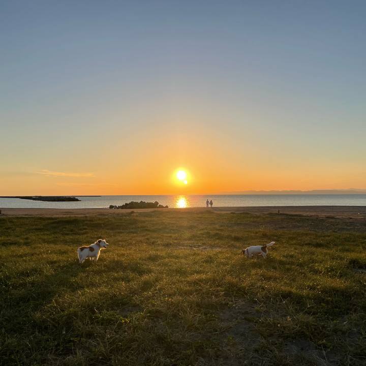 1a0f4403 0912 4359 9cbb dc4c0d6782e3 1664442418543