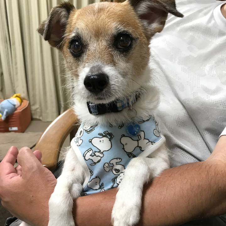 1a0f4835 9690 4188 b9fa 83363281dad8 1596882631159