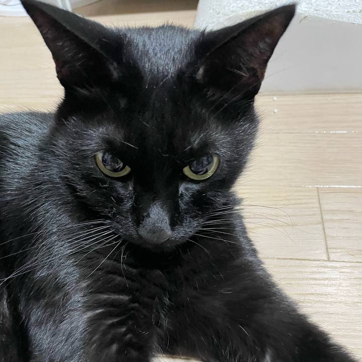 1a0fb7f0 bb5f 4e4b ac83 0b32dd60c01f 1732364271912