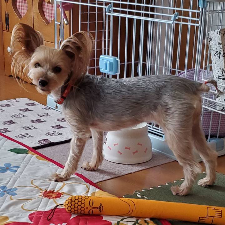 1a0fbc11 add3 46bc 8f8b c1b92029e065 1566171229208