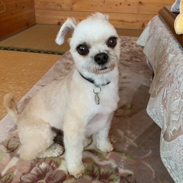 1a10358e 974e 41b5 b760 c4ac33b0b78a 1564535330796