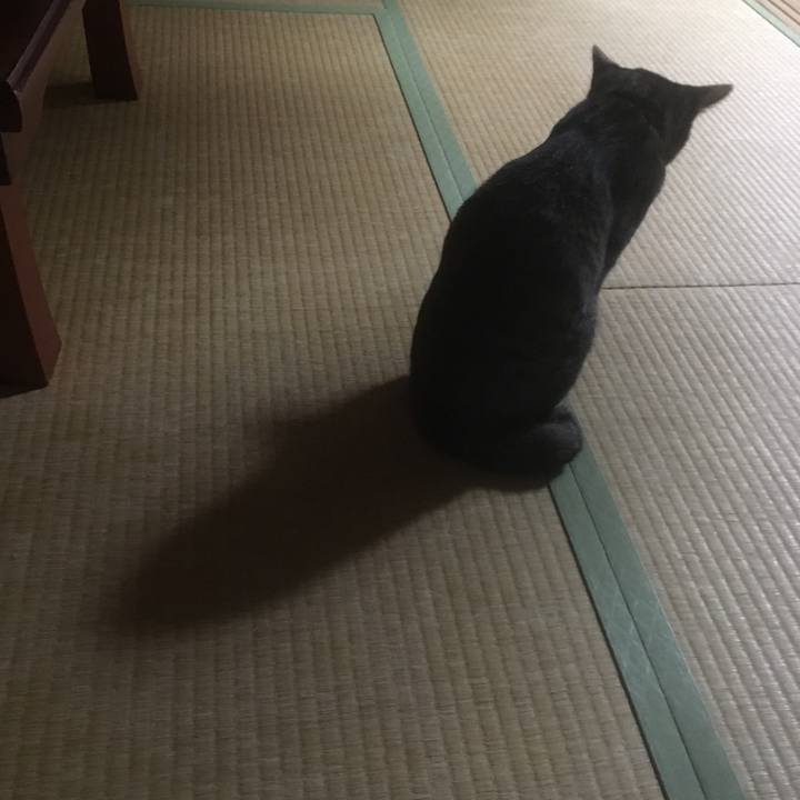 1a10b789 db74 4671 8d12 bb41dc7ed175 1508495852088