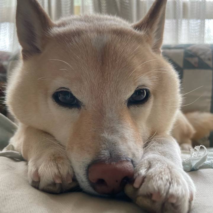 1a10c510 2d7d 4d86 a392 510e510ab29c 1724111124896