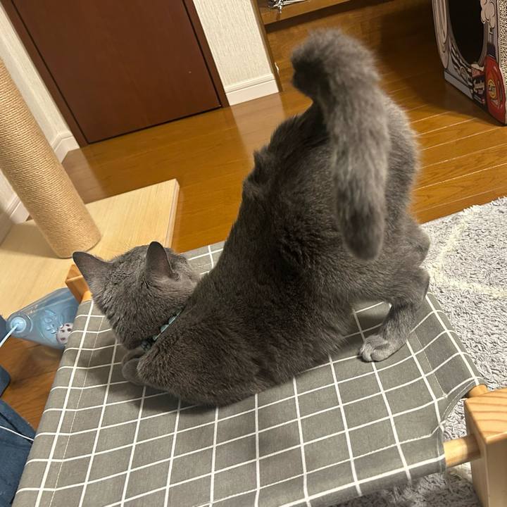 1a10c5ec d7c7 47da 8181 fb15ecc7304e 1718160990205