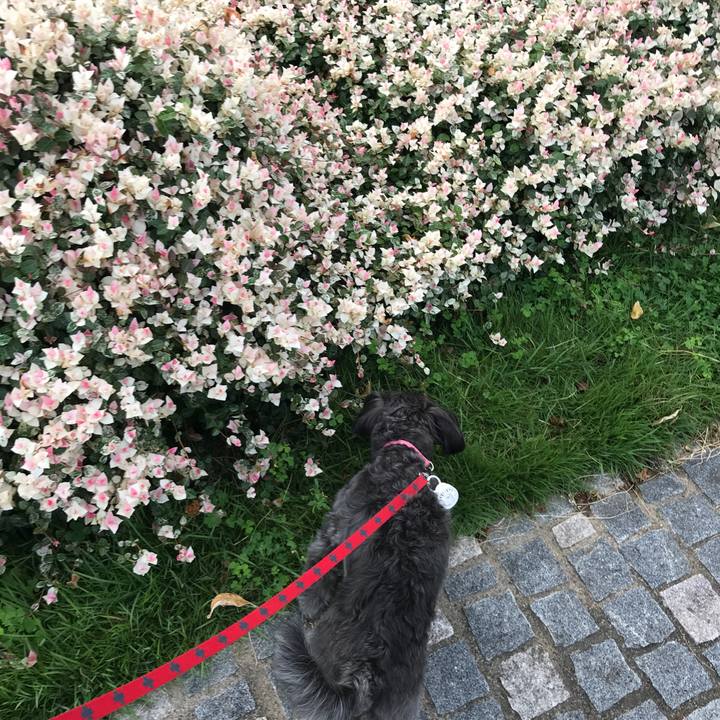 1a10cea1 87f2 47e9 aa0d 8d32a4fd1408 1759325577638