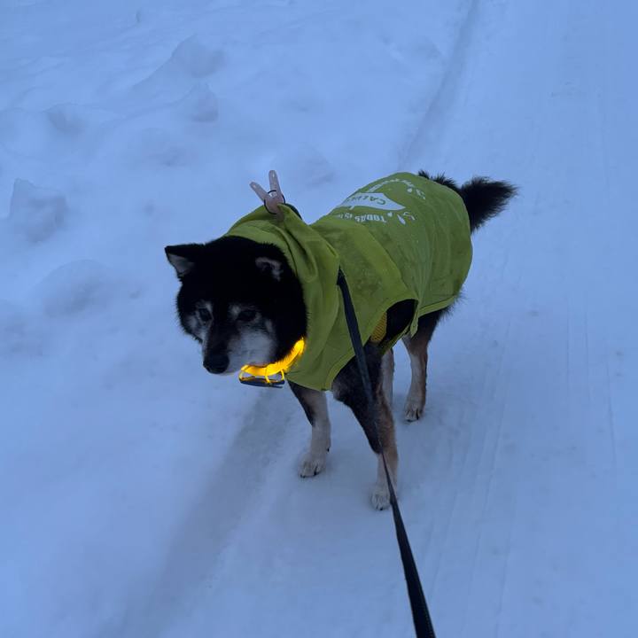 1a10e73c d1f1 4811 aeee 297b832cade6 1768040325677