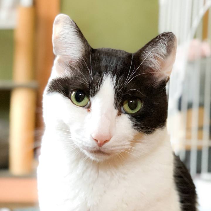 1a111027 af7f 4151 b93b 720877eaf6da 1590456722458