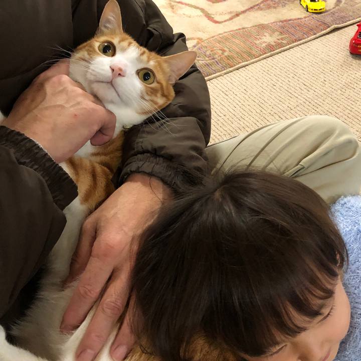 1a11241a 3da4 4cf3 bf1e d171d240328d 1578882698389