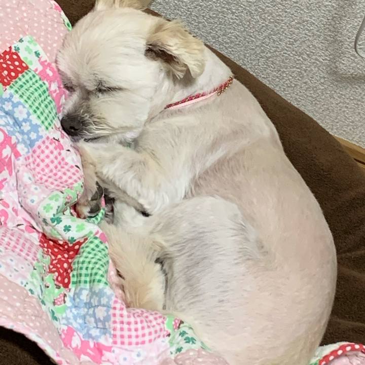 1a115ae8 97c6 4aee a3d2 f55b41f178d4 1587120471729