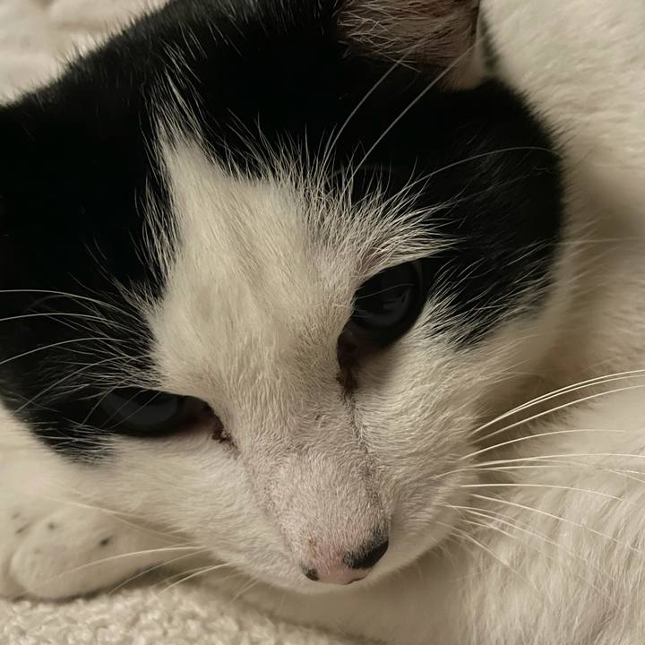 1a116ee8 1a9e 4618 be10 d82c544c3e33 1642855541818