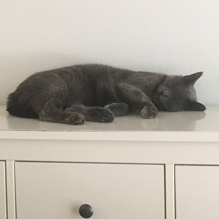 1a11b0fd 39cb 4a12 ac9d 4ca6d05749f3 1659196750391