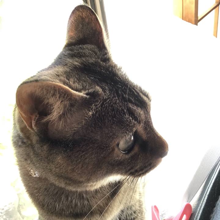 1a1275c5 1dc9 4141 b4e2 9ed5b7d0bf90 1628132326470