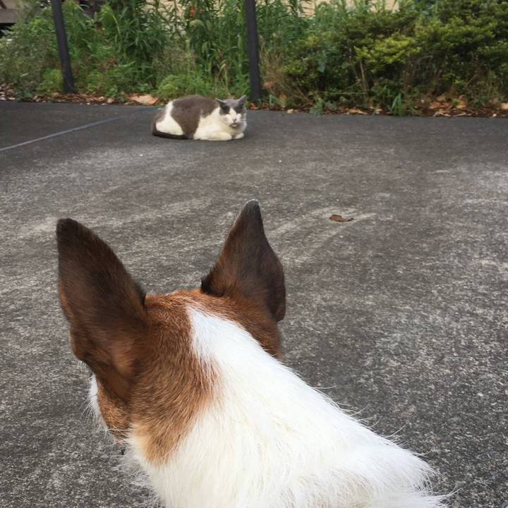 1a127be1 d907 456f 8efe 81fc387b615a 1593145054946