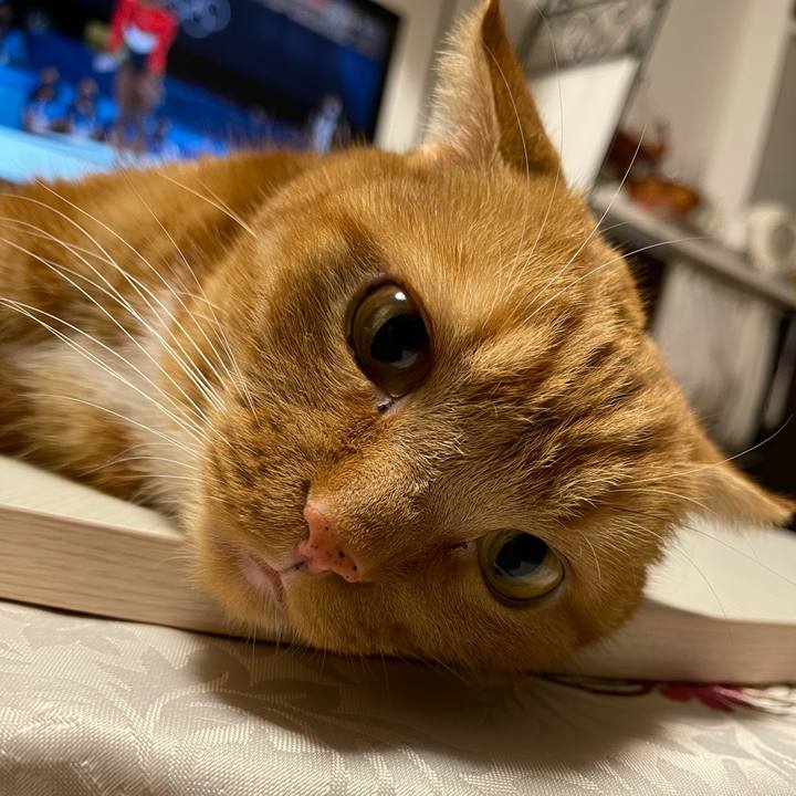 1a128806 d3da 4e0f a57a c940a9de3d5b 1627742437764