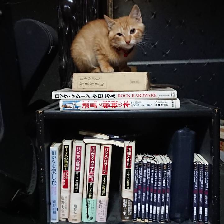 1a129b75 1c8b 4679 8abb 34076fcb9637 1631018309744