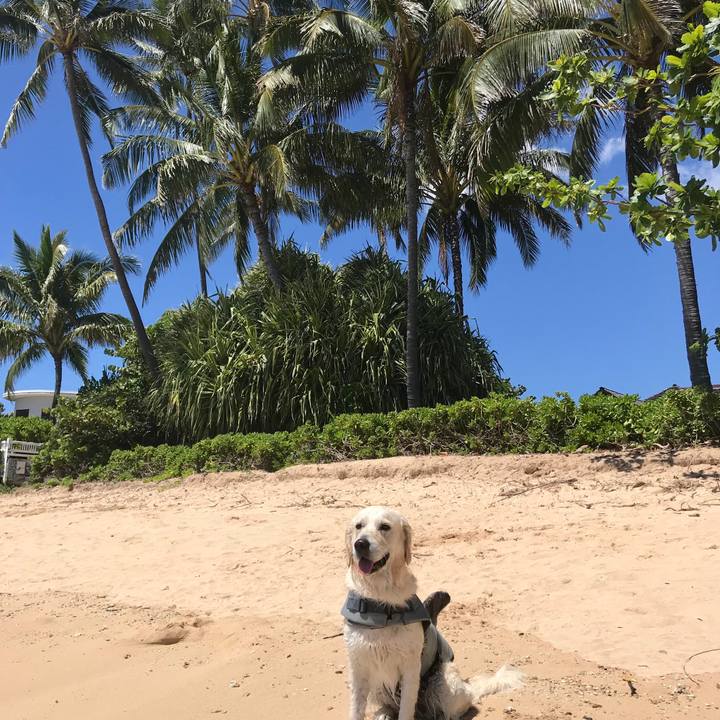 1a129d85 1cd3 4b58 b276 03cbbc7ab983 1553124784610