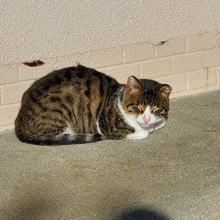 1a12a0fe 515a 4ba9 9d6c 57a935091fe8 1700320750288