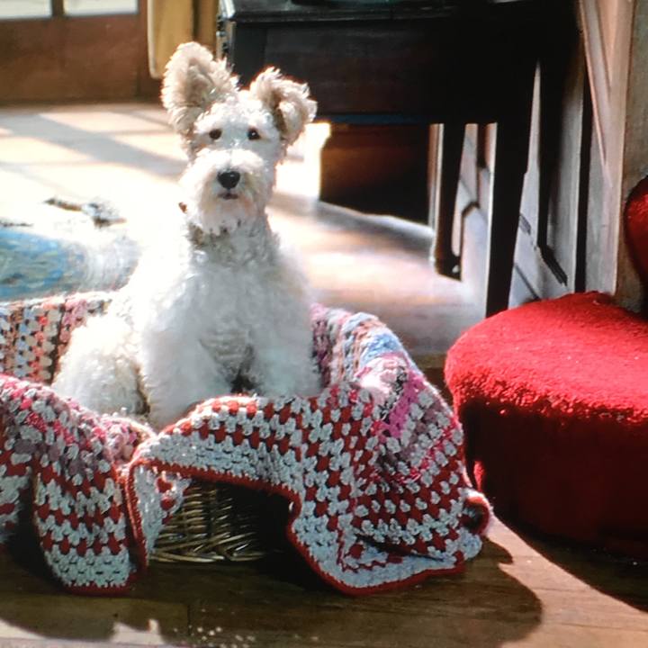 1a12aa3e 552c 4a1a 919a 7a972bb78f86 1541669616913