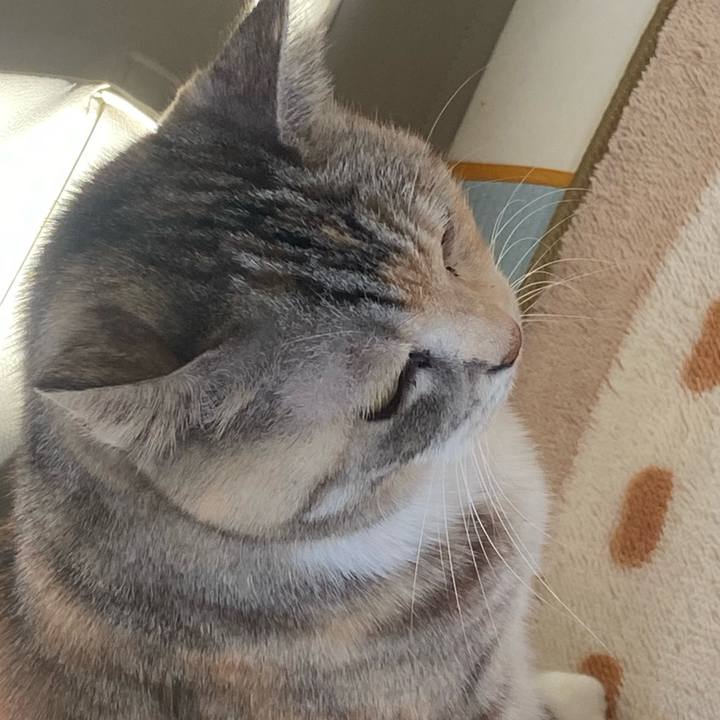 1a12e960 b88c 4143 a71b 865f887c16ae 1734137235602