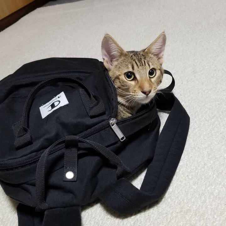 1a12feb7 2128 4a4f 877e e1873b069bf3 1568210832042