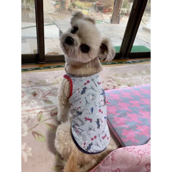 1a1301e3 8f44 497b a527 0b45c6bd4ee7 1551346876719