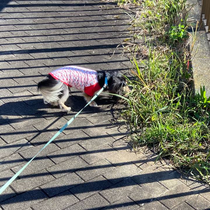 1a130c2b 96bc 4cd0 9a27 7f00ee889d84 1733213469882