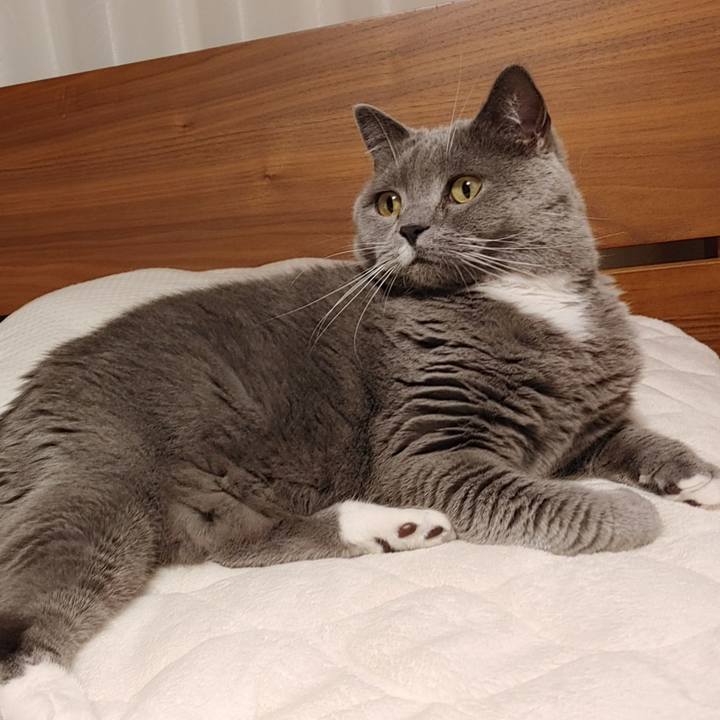 1a1325bb 3ff8 4840 b801 44663221aa26 1647784925923