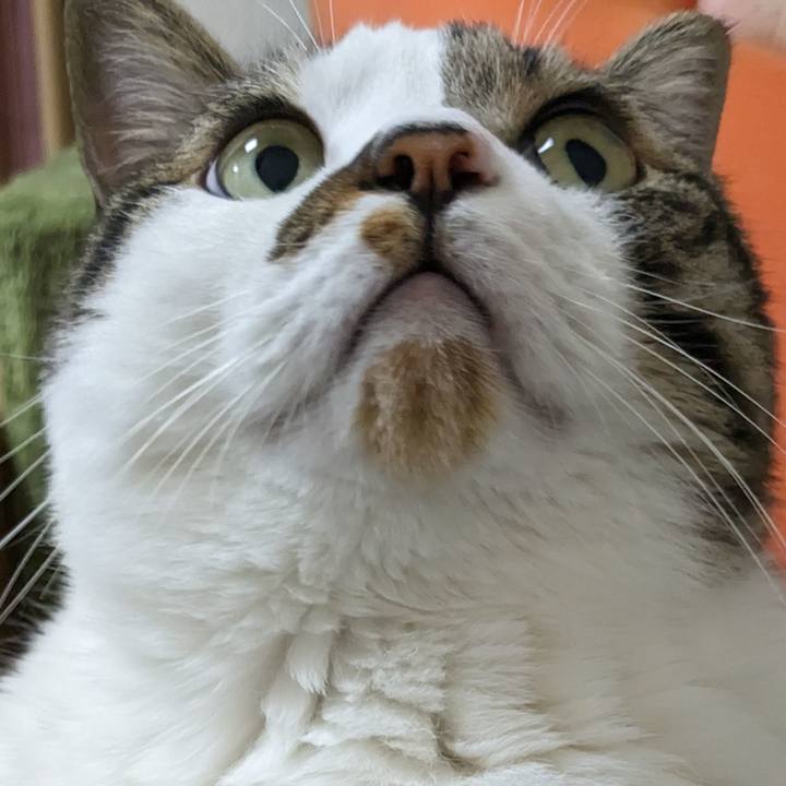 1a132b5a f98a 4192 abf2 183bc3a0ea2b 1689584437861