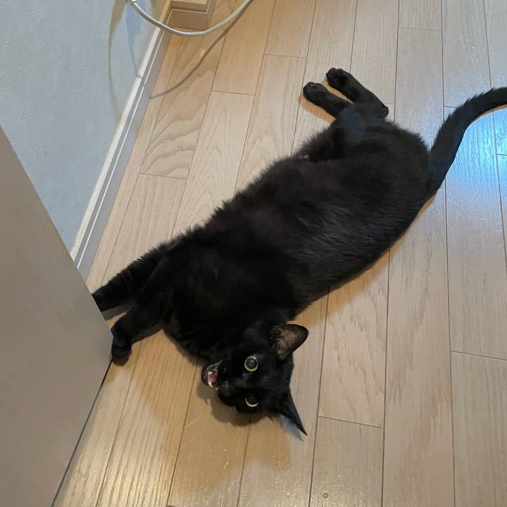 1a133001 118f 44a7 8cb3 efcb9296a4dd 1755866310188