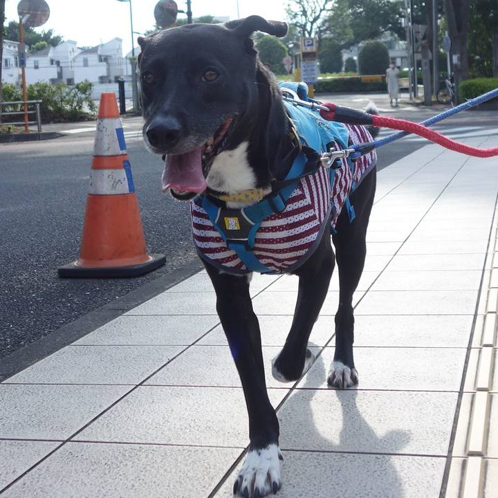 1a1338b5 fd5b 47e0 b63d f0eebcc1c019 1626826800520