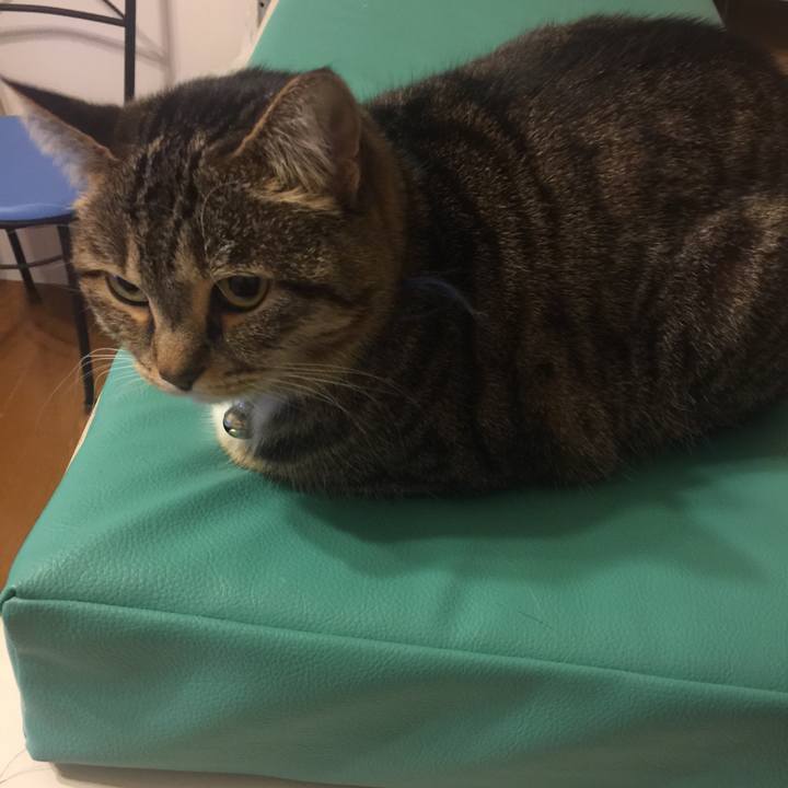 1a135346 039c 47ab 939f 6b0a5153b319 1551193887796