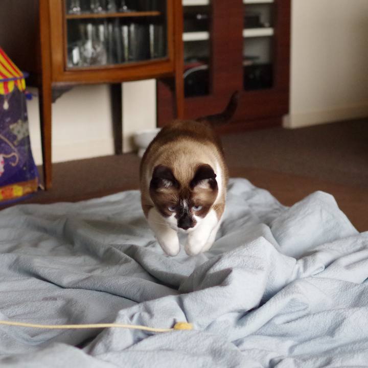 1a138ce4 cf4d 4cb1 893e 3020fd9f25d6 1555465839961