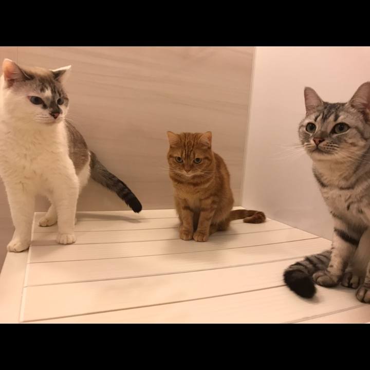 1a13ea59 0247 4148 82cc 1d0b03199380 1542362788152