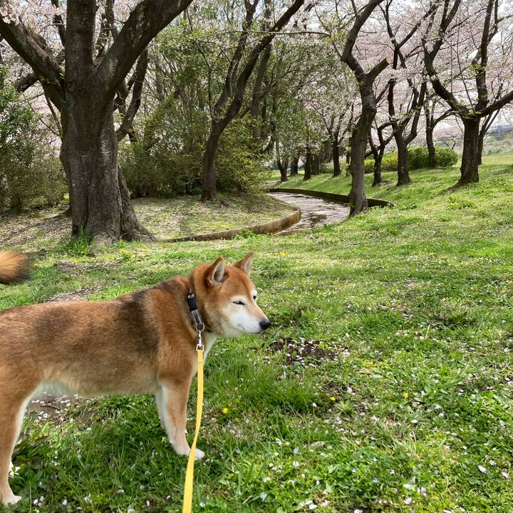 1a13ea67 41be 42e2 ace2 181bce620b97 1649228725887