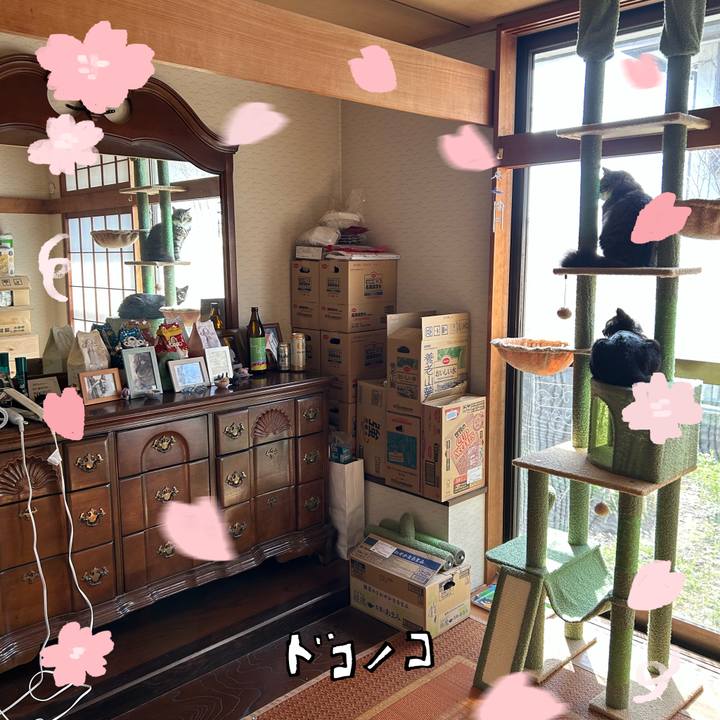 1a13f096 51f6 4cae 8002 f384366cc02c 1744452224326