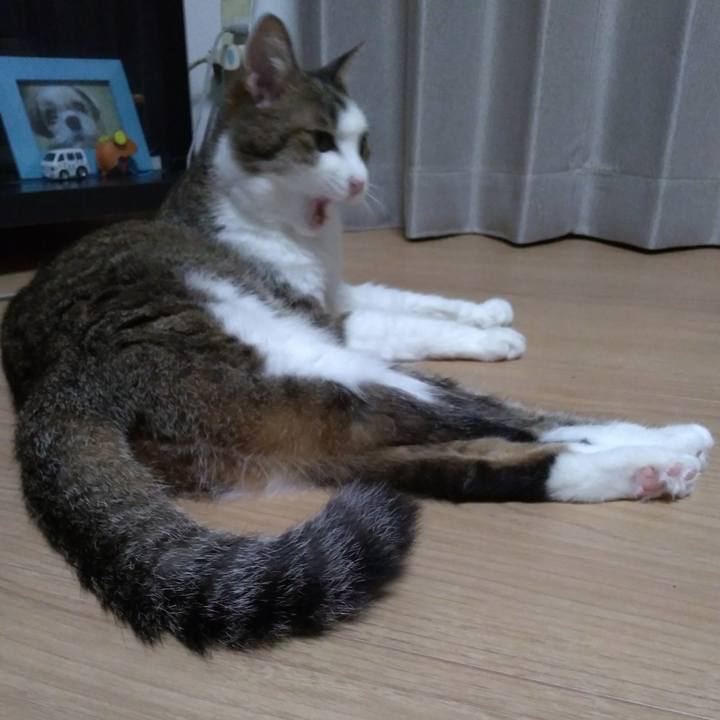 1a141679 d0f0 4313 ad2f c207706e4fda 1530879932175