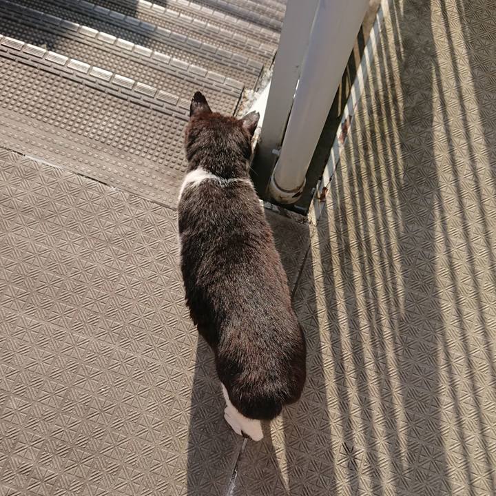 1a143a76 7012 43e3 a73a df0630143070 1561510954439